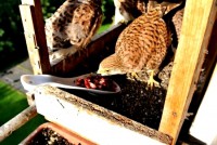 /album/a21-6-2013/bastim-sam-jpg/